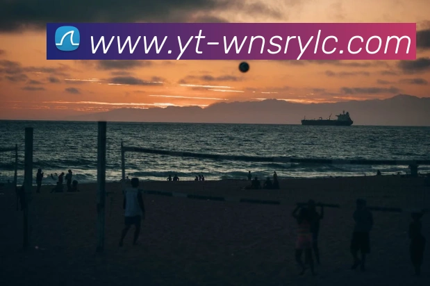 App Interface Preview